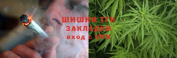 гидропоника Богданович