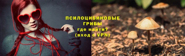 гидропоника Богданович
