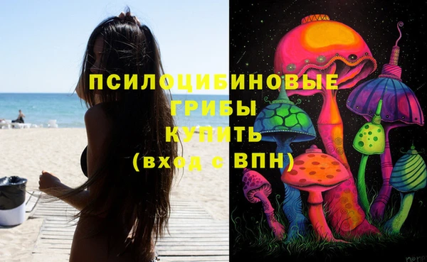 mdma Богородицк