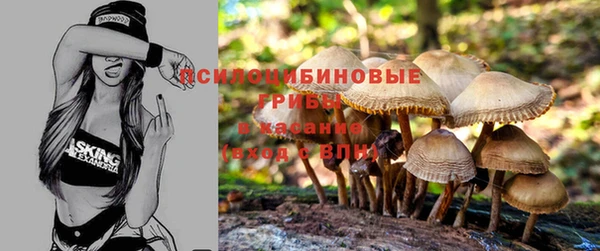 каннабис Богородск