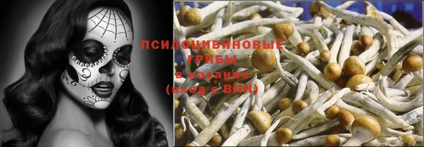 гидропоника Богданович